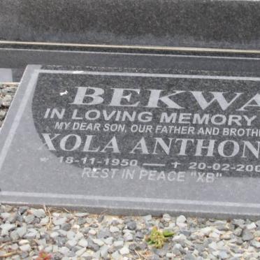 BEKWA Xola Anthony 1950-2004