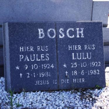 BOSCH Paulus 1924-1981 &amp; Lulu 1922-1982