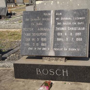 BOSCH Theunis Christiaan 1892-1968 &amp; Hester Adriana SCHEEPERS 1896-1969