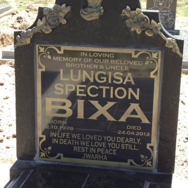 BIXA Lungisa Spection 1978-2012