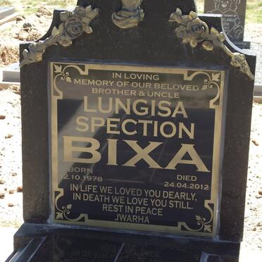 BIXA Lungisa Spection 1978-2012