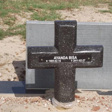 BISA Ayanda 1989-2011