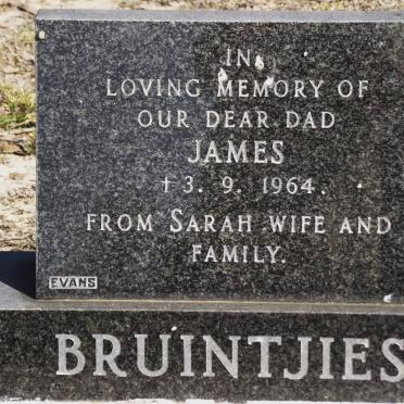 BRUINTJIES James -1964
