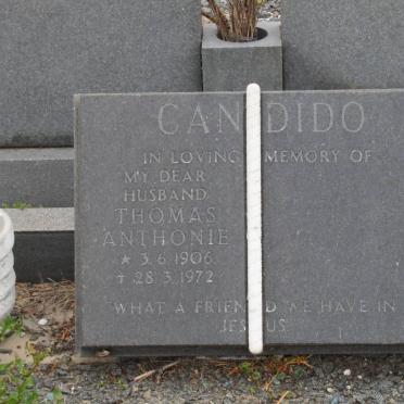 CANDIDO Thomas Anthonie 1906-1972