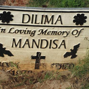 DILIMA Mandisa 1978-2008
