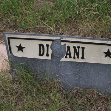 DINGANI Gidimani 1931-2001