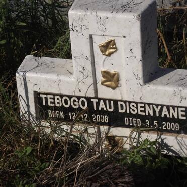 DISENYANE Tebogo Tau 2008-2009