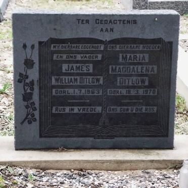 DITLOW James William -1963 &amp; Maria Magdalena -1970