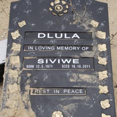 DLULA Siviwe 1971-2011