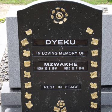 DYEKU Mzwakhe 1991-2012