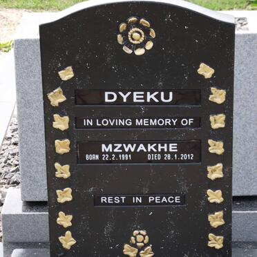 DYEKU Mzwakhe 1991-2012