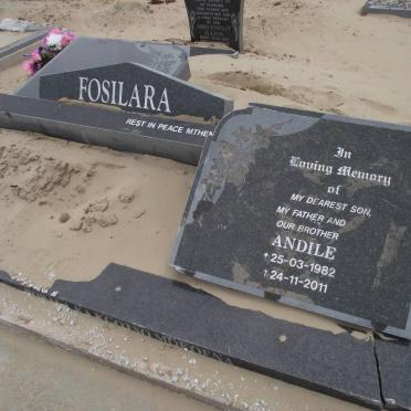 FOSILARA Andile 1982-2011