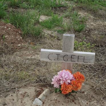 GEEL Carel J. 1965-2011