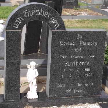 GIESBERGEN Anthonie, van 1981-1985