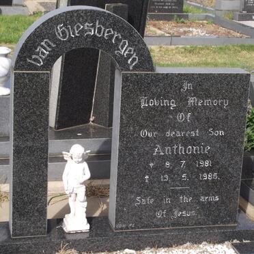 GIESBERGEN Anthonie, van 1981-1985