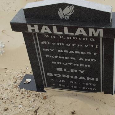 HALLAM Elby Bongani 1970-2010