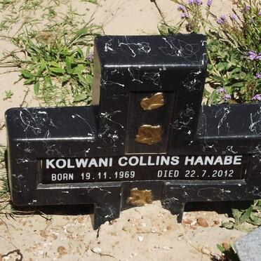 HANABE Kolwani Collins 1969-2012