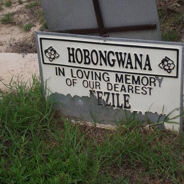 HOBONGWANA Fezile 1951-2006