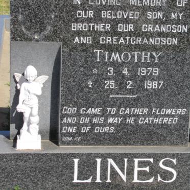 LINES Timothy 1979-1987