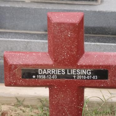 LIESING Darries 1958-2010