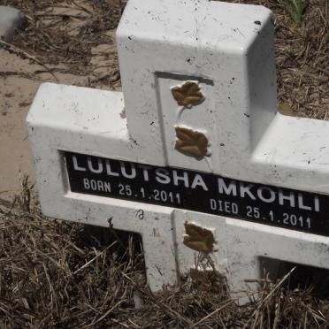 MKOHLI Lulutsha 2011-2011