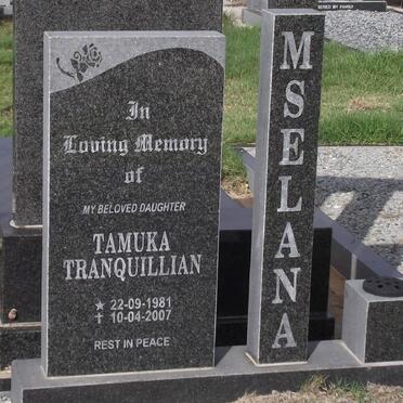 Ms - Surnames starting with the letters Ms