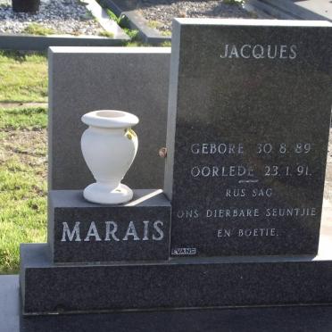 MARAIS Surnames :: Vanne