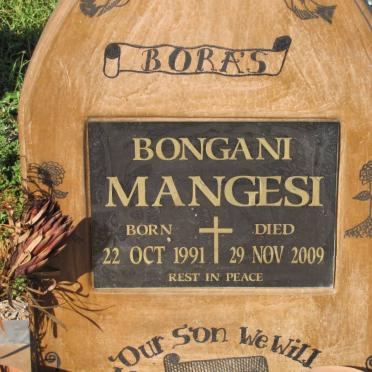 MANGESI Bongani 1991-2009
