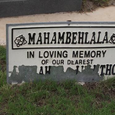MAHAMBEHLALA Baby of Glory 2005-2005