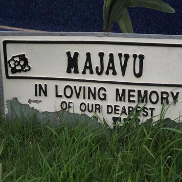 MAJAVU