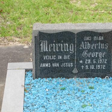 MEIRING Albertus George 1972-1972