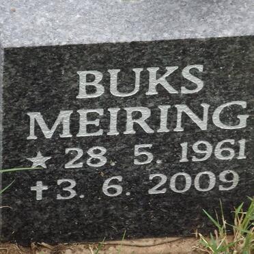 MEIRING Buks 1961-2009