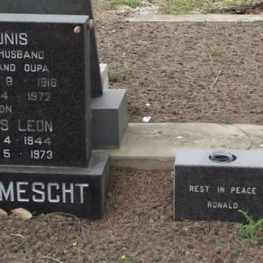 MESCHT, van der