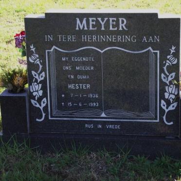 MEYER Hester Sophia 1936-1993
