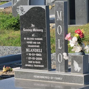 MOLO Mlandeli 1963-2009
