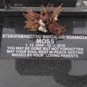 MOSS