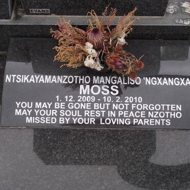 MOSS
