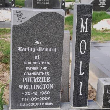 MOLI Phumzile Wellington 1950-2007
