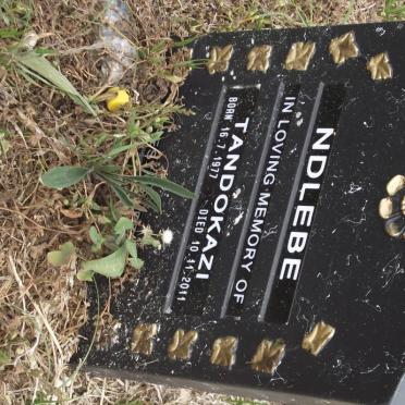 NDLEBE Tandokazi 1977-2011