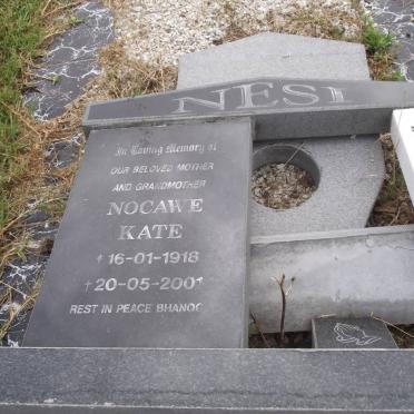 Ne - Surnames starting with the letters Ne