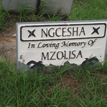 NGCESHA Mzolisa 1984-2004