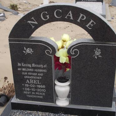 NGCAPE Abel 1956-2010