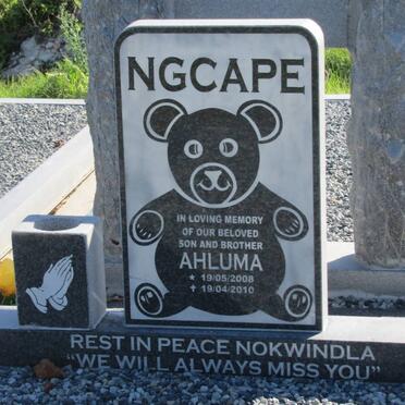 NGCAPE Ahluma 2008-2010