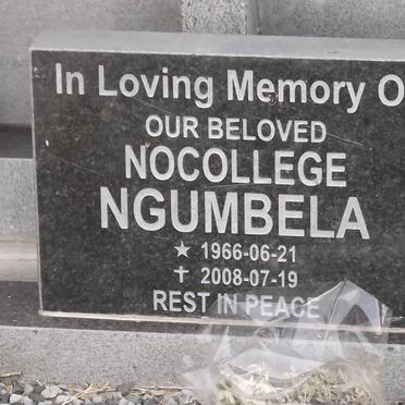 NGUMBELA Nocollege 1966-2008