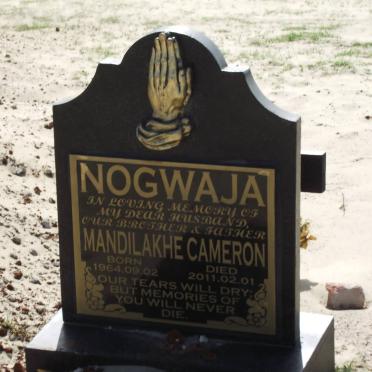 NOGWAJA Mandilakhe Cameron 1964-2011