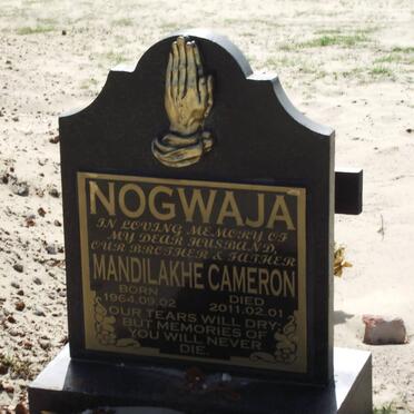 NOGWAJA Mandilakhe Cameron 1964-2011