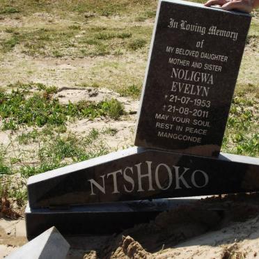 NTSHOKO Nolinga Evelyn 1953-2011