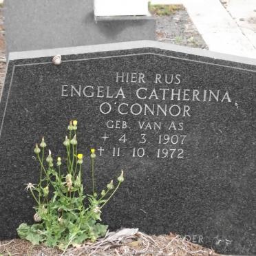 O'CONNOR Engela Catherina nee VAN AS 1907-1972