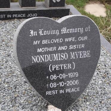 PETER Nondumiso Mvebe 1979-2006