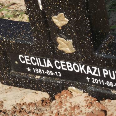 PUZI Cecilia Cebokazi 1981-2011